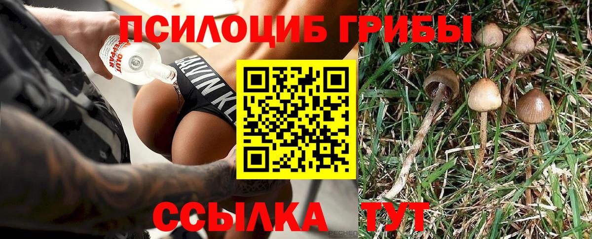 Псилоцибиновые грибы мицелий Иркутск
